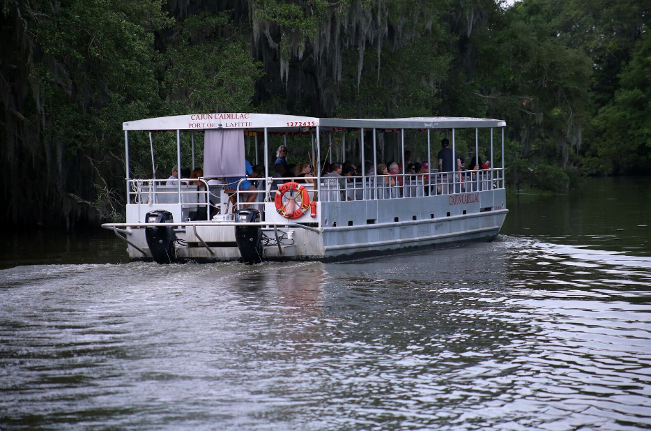 New Orleans Bayou Tour, what to expect on a bayou tour